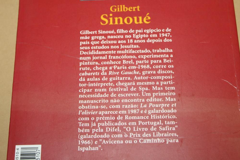 O Menino de Burges de Gilbert Sinoué