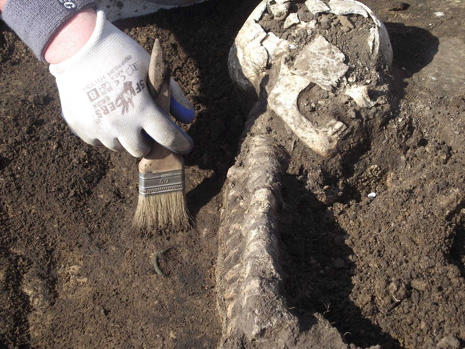 archeolog, nadzór archeologiczny, badania archeologiczne, Kluczbork