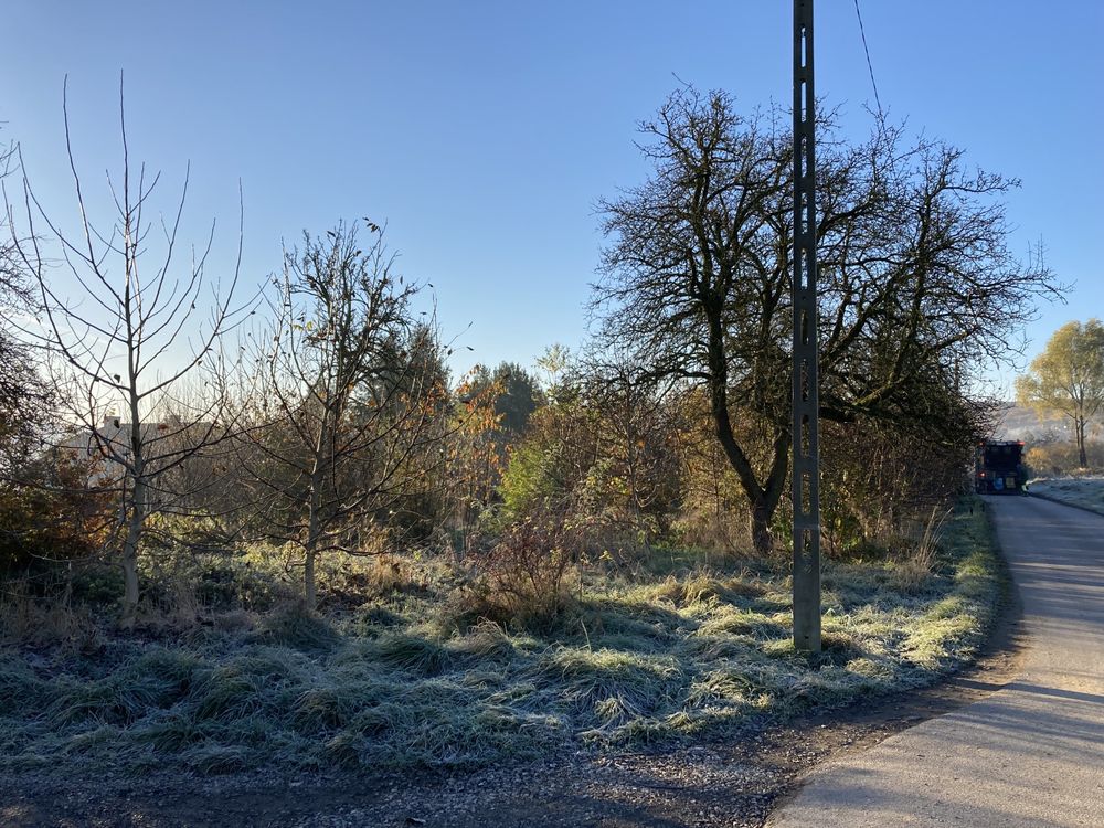 Rębak na gąsienicy, wycinka drzew