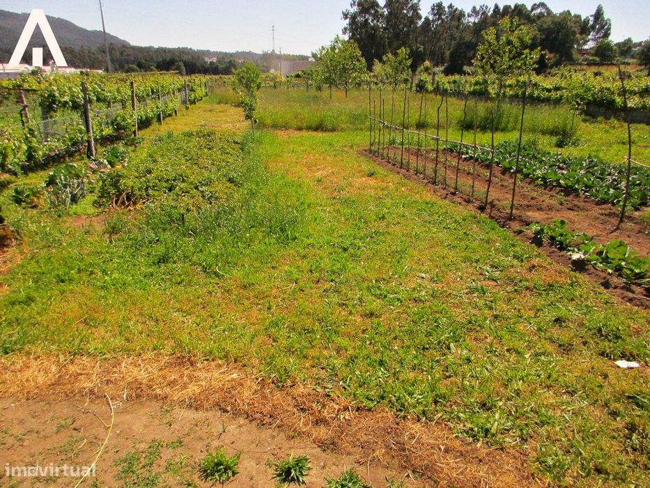 Terreno construção em V.F.S. Pedro