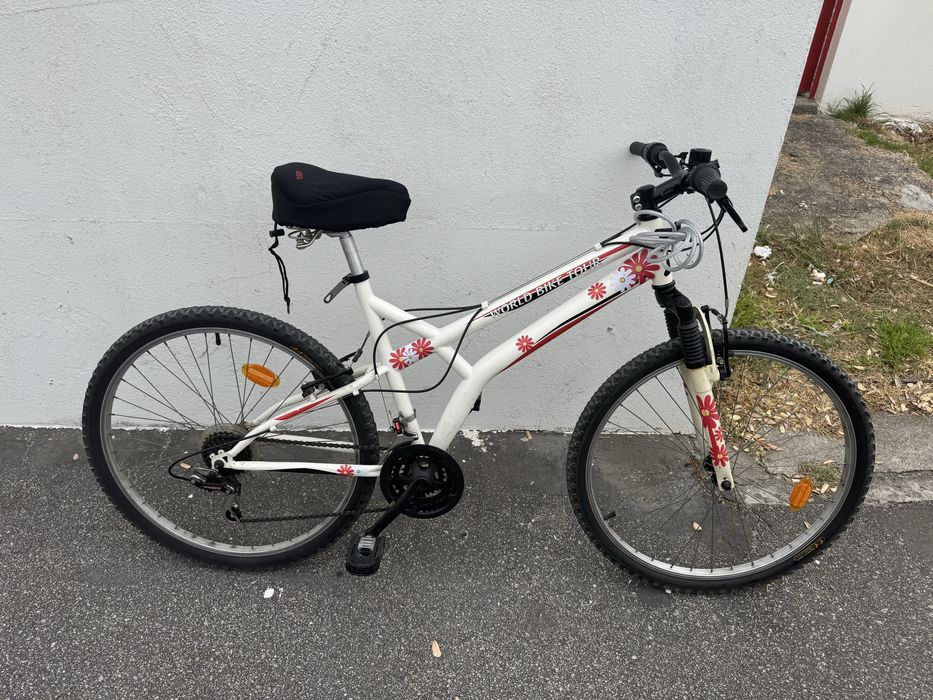Bicicleta Adulto