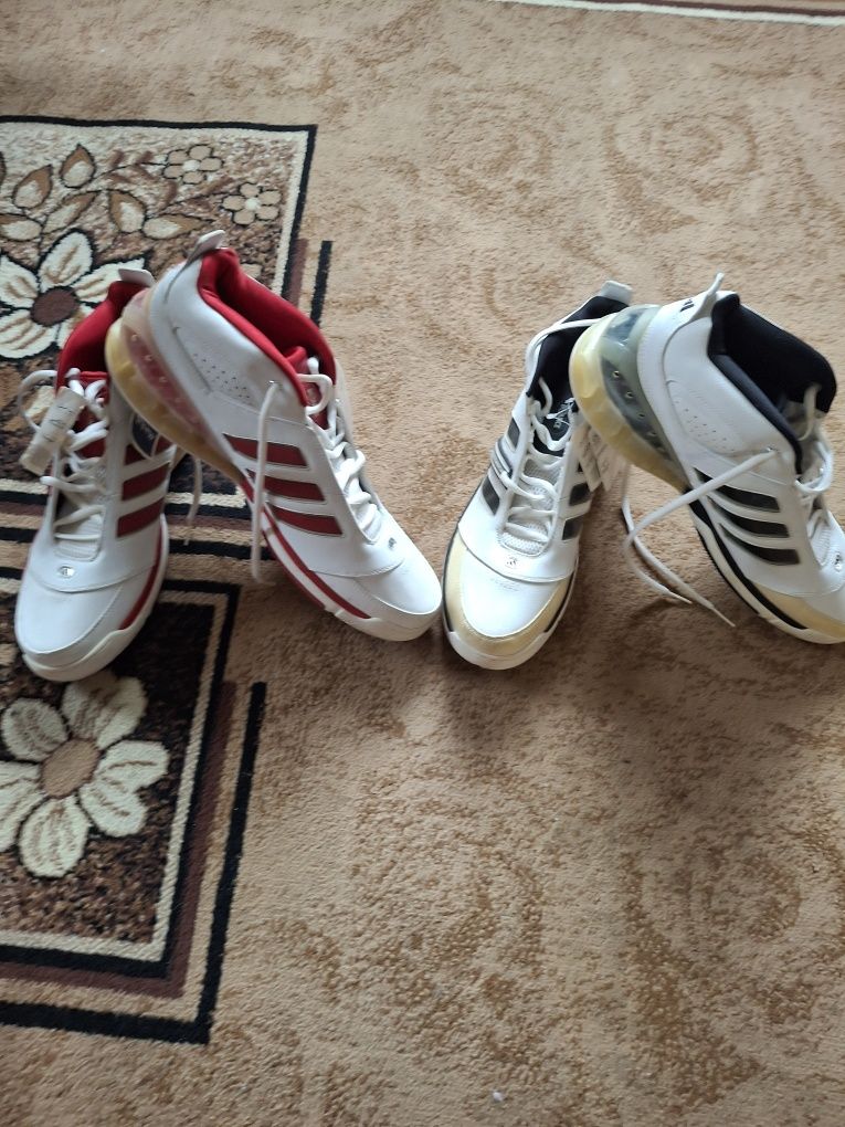 Кросівки Adidas Великий розмір 54,5 та 55,5
