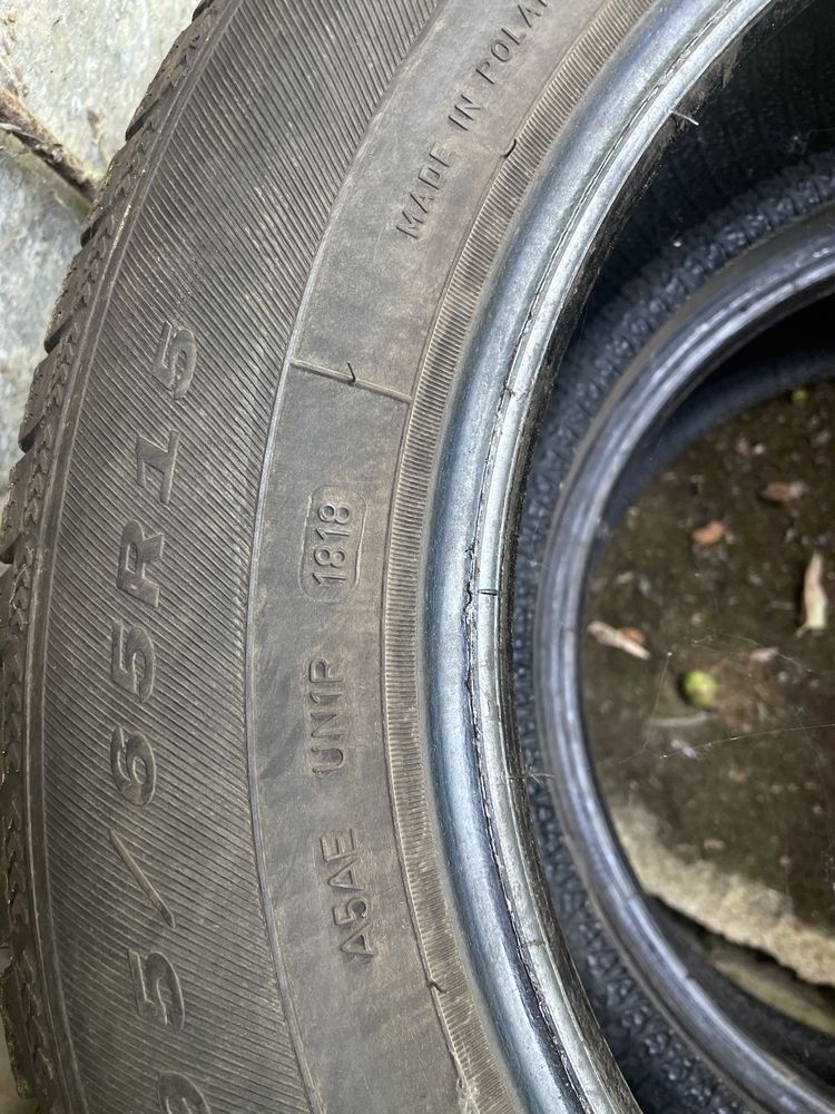 Зимові r15 195/65 2019 року