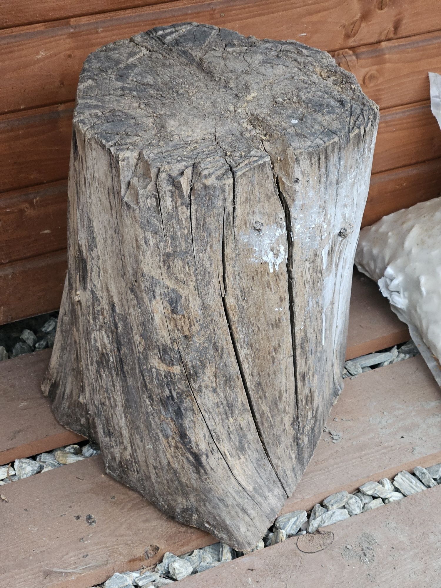 Oddam pieniek pień do łupania drewna