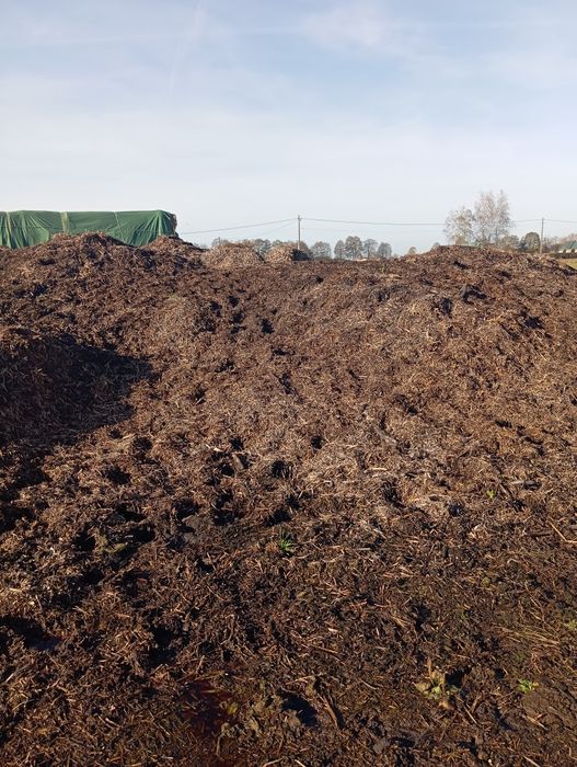 Nawóz Obornik bydlęcy 700 ton cena do końca listopada