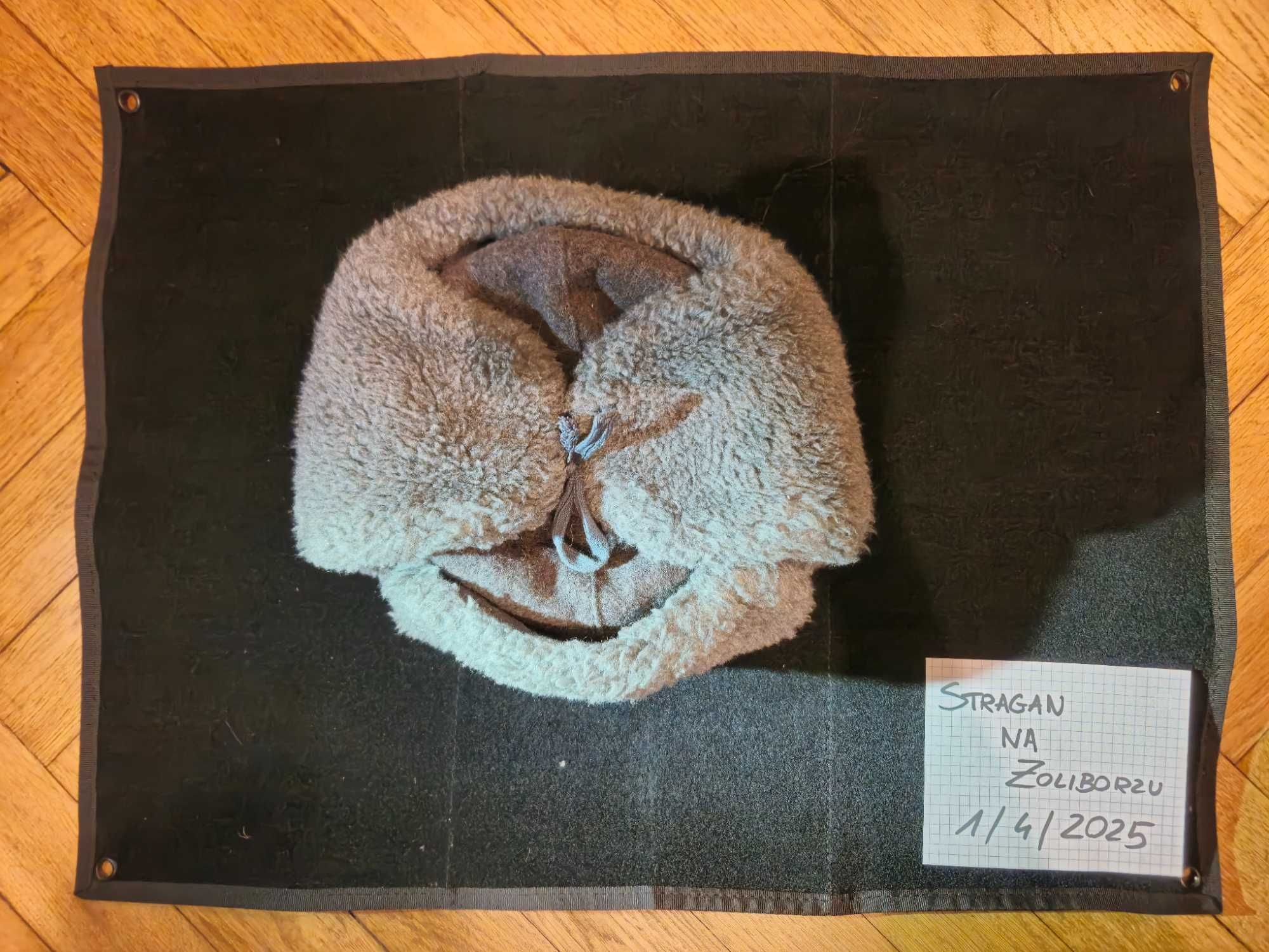 Czapka uszanka ZSRR/ROSJA z kokardą Wojsk Lądowych, r. 60
