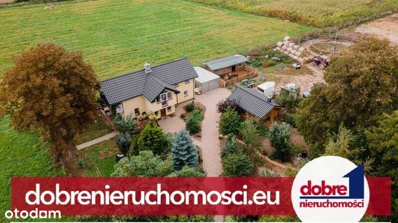 Dom 120m2 na dużej działce, Dąbrowa Chełmińska