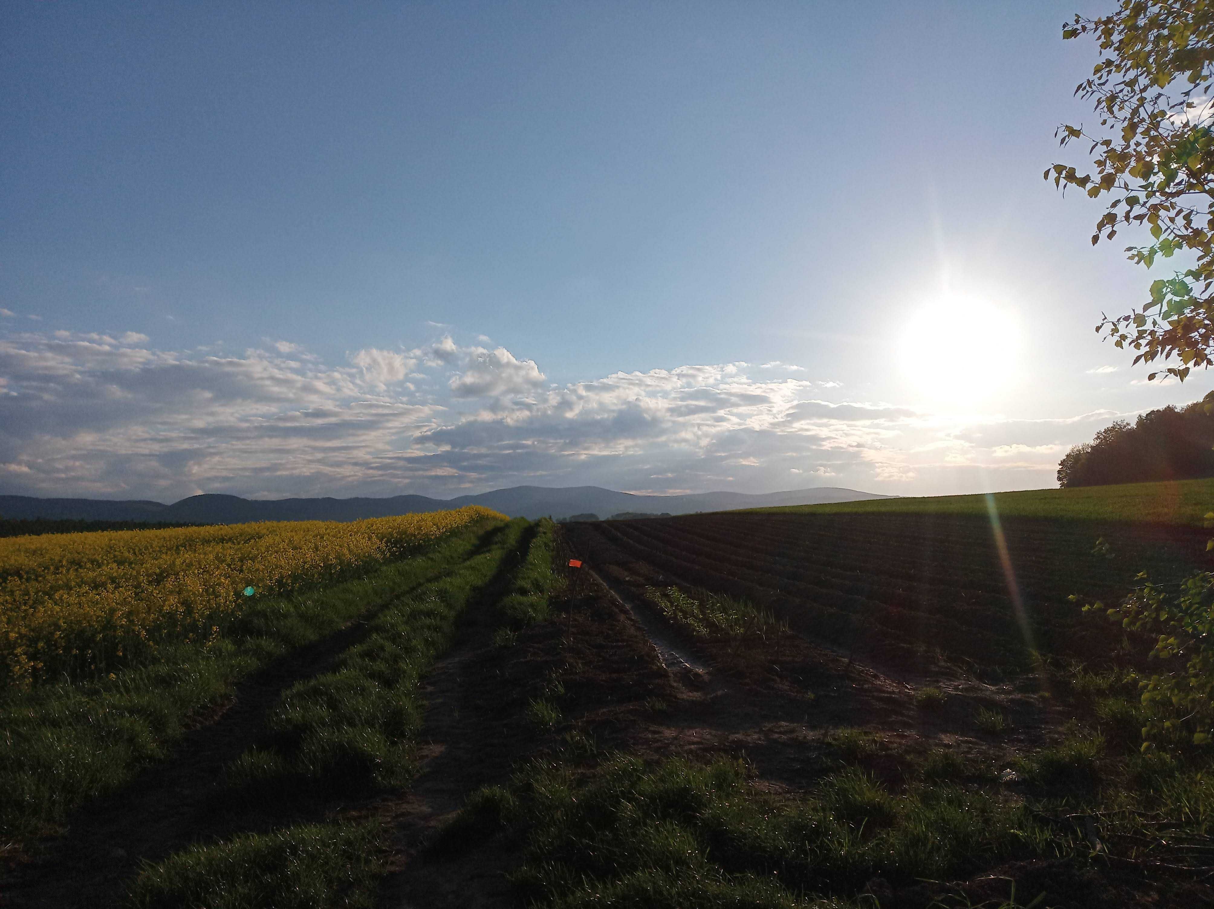 Działka budowlana z ładnym widokiem - 33 ar. 50km od Wroclawia.