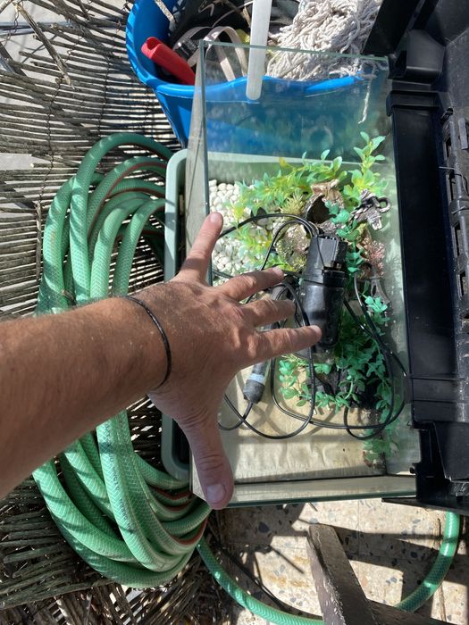 Aquario pequeno iniciantes