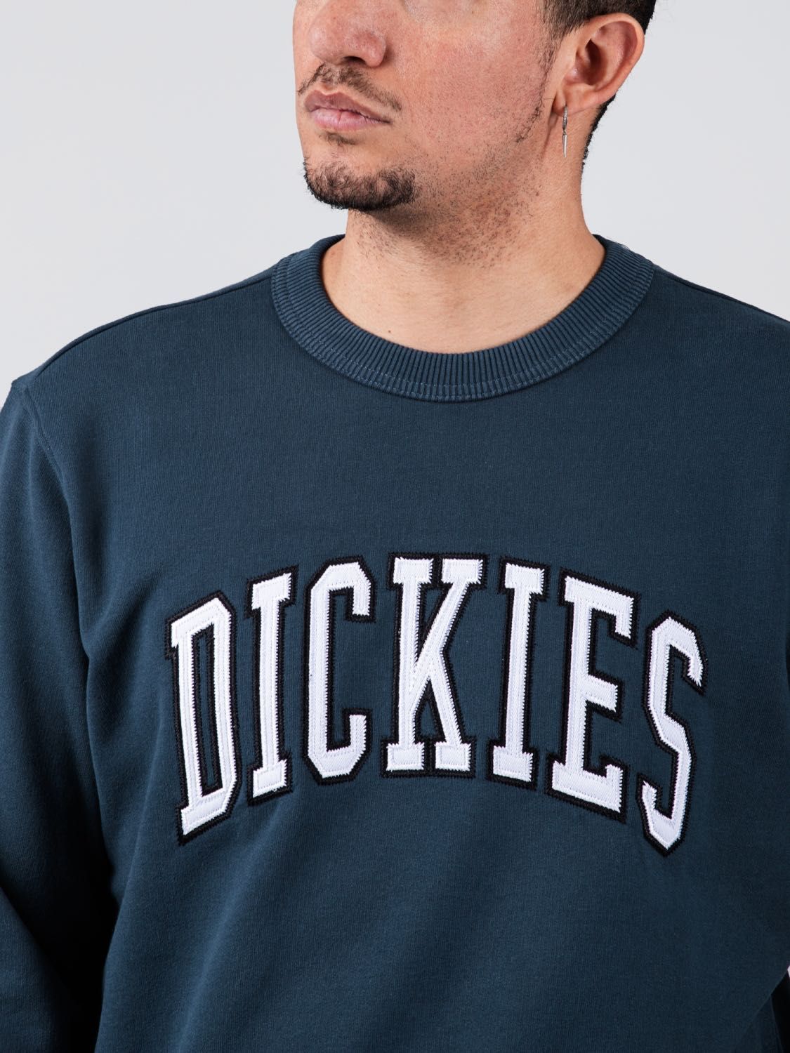 Оригінал Кофта світшот Dickies Aitkin Sweatshirt