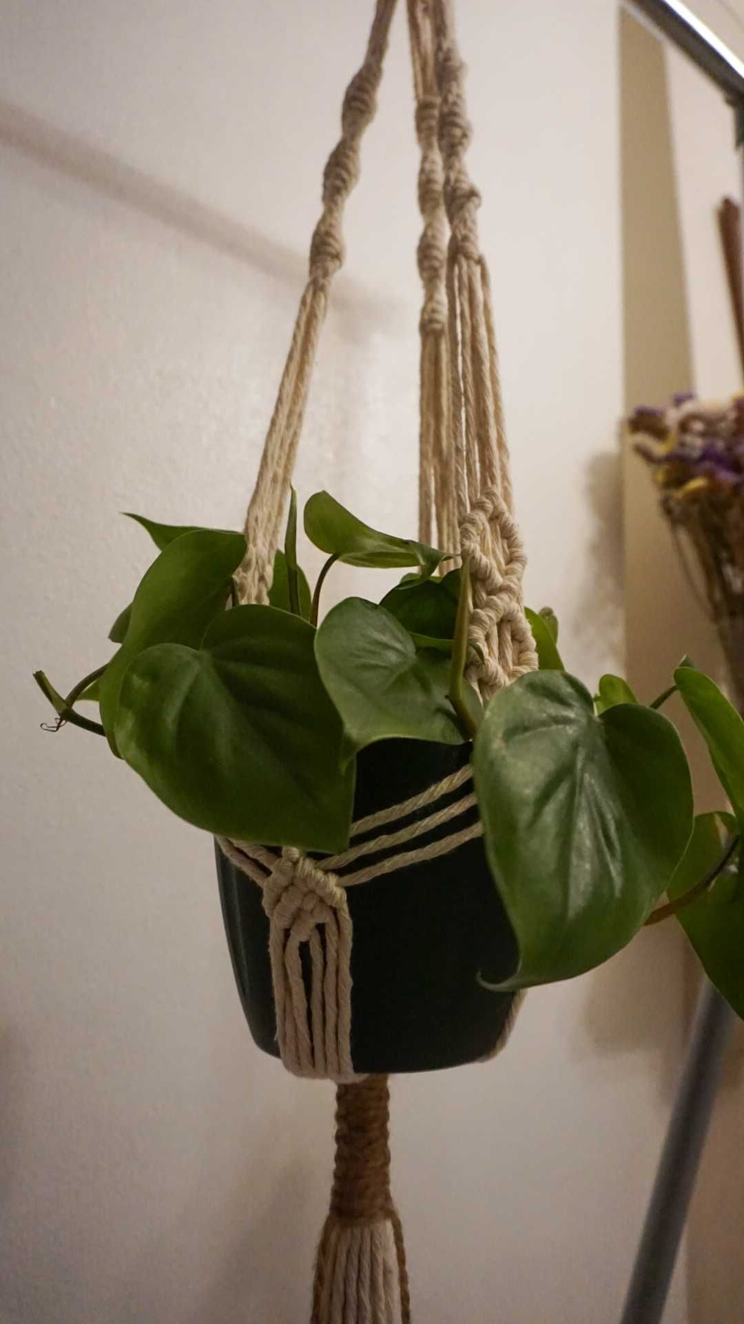 Suporte para vasos/plantas em macrame