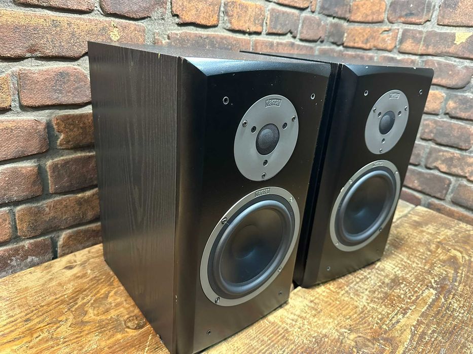 Kolumny Monitory Magnat Vector 22