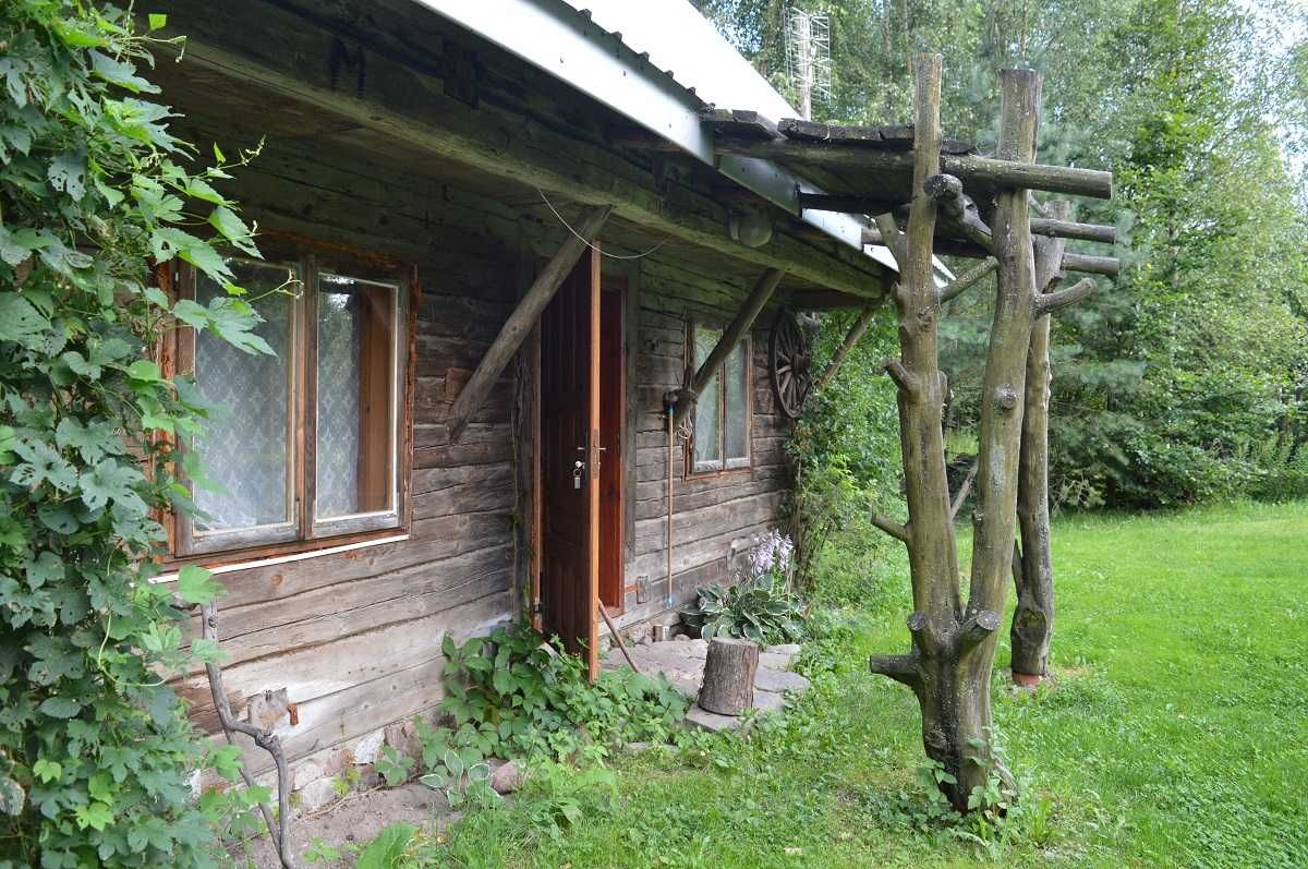 Domki nad samym jeziorem na Pojezierzu Augustowsko – Suwalskim