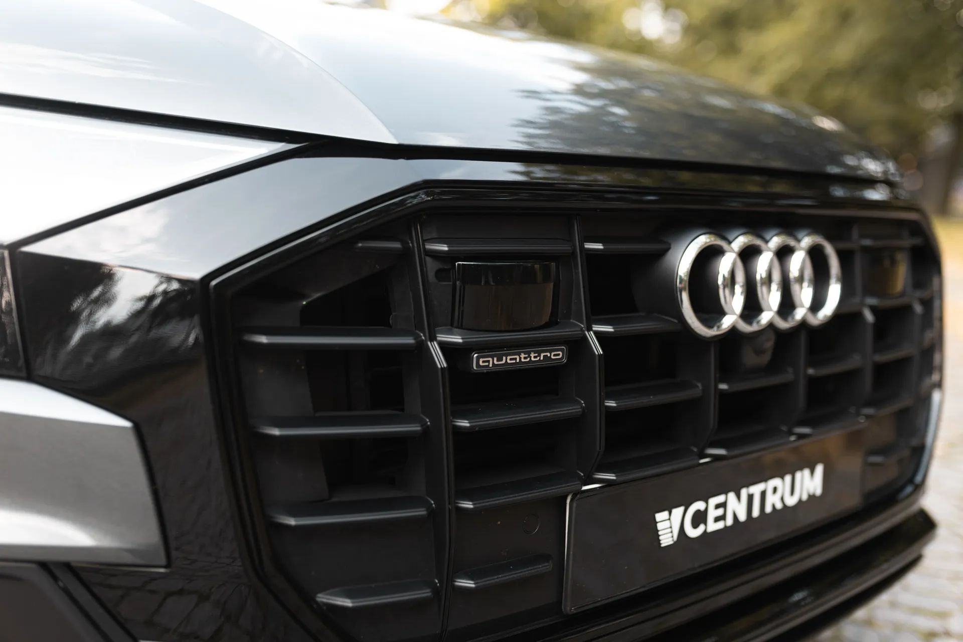 Audi Q8 Audi Q8 3.0 TDI Quattro Tiptronic, bezwypadkowy, 1Właściciel, S-Line