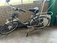 Gazelle rower damski