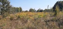 Продам земельну ділянку під забудову в с. Рожни.