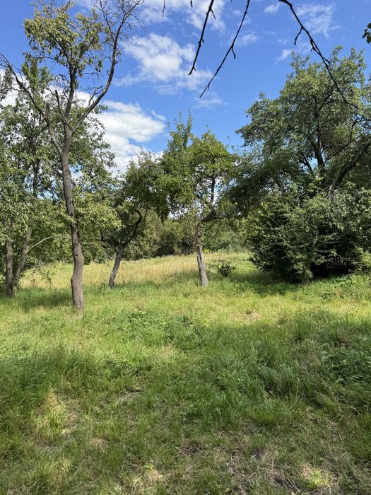 Продам будинок в селі Терешівці