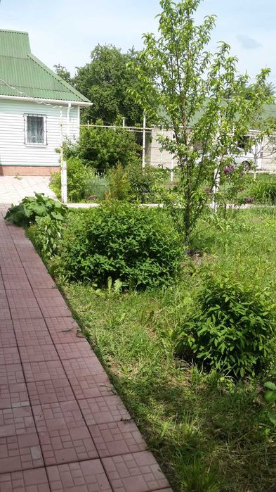Оренда будинка с сауною подобово (Бишів,Київська обл.)