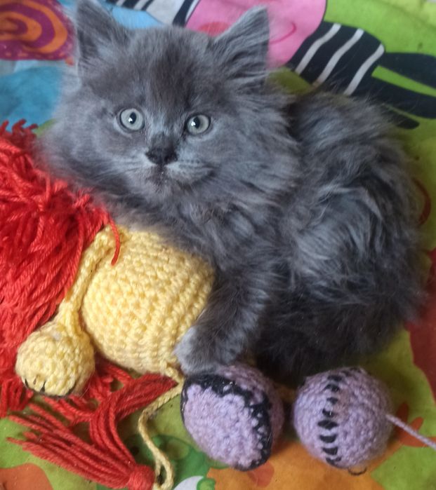 Голубенький мальчик