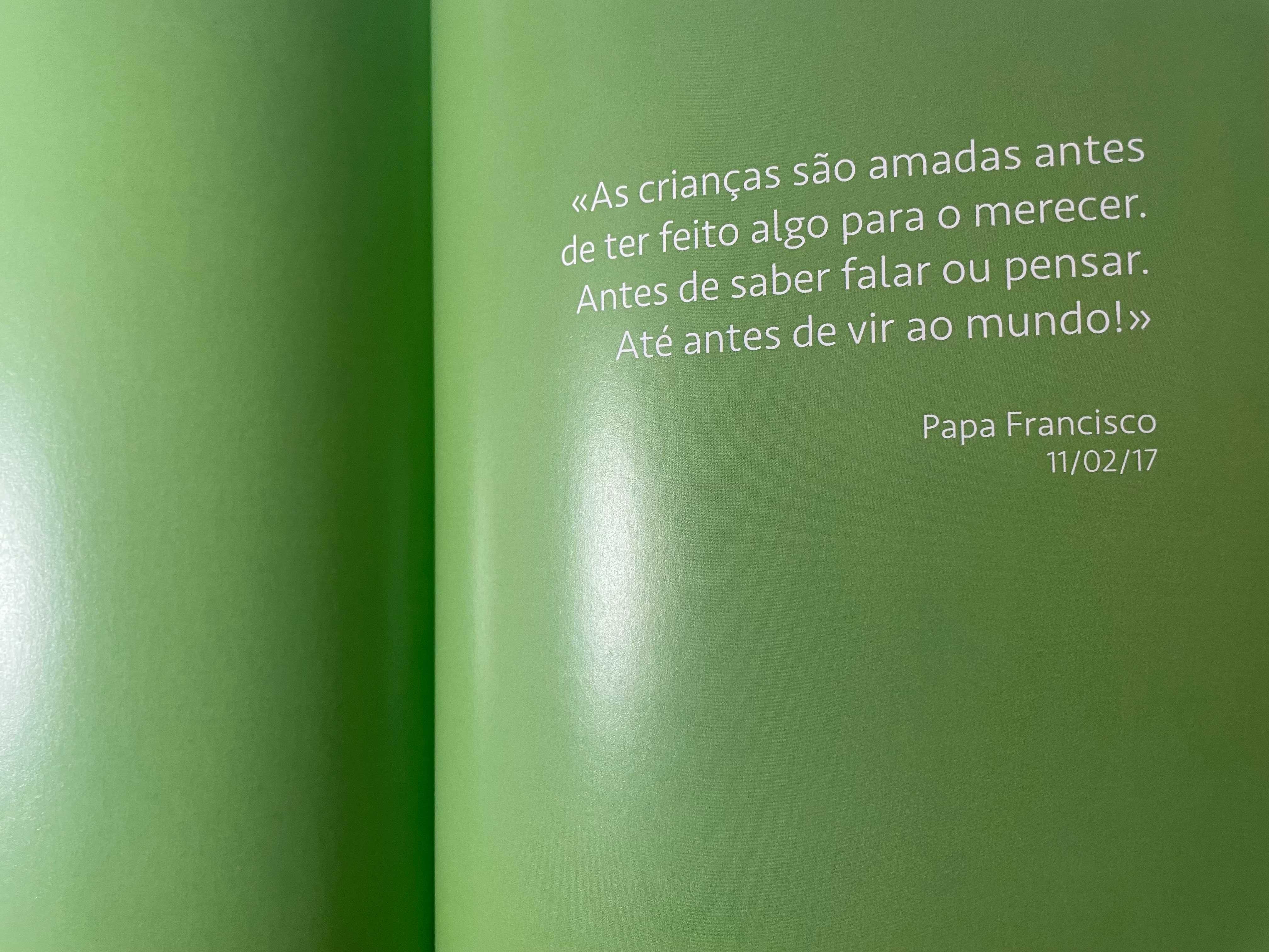 Livro | As Aventuras do Papa Chico e os três pastorinhos