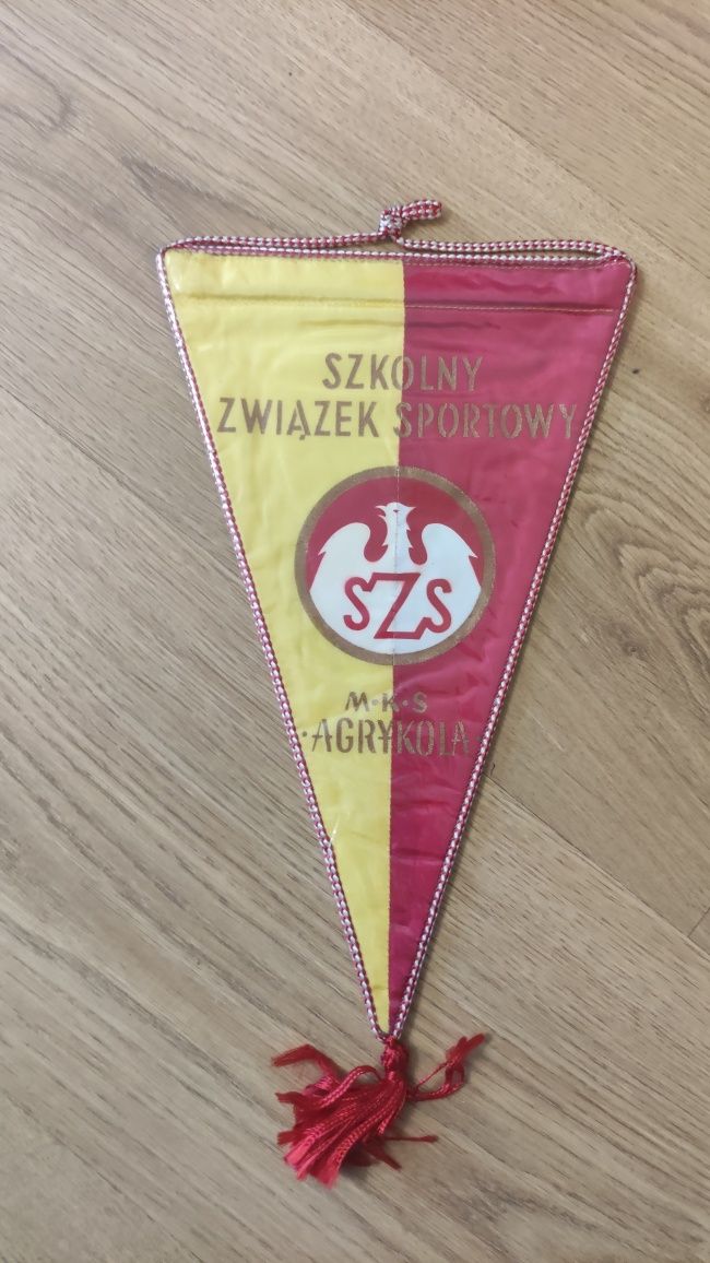 Proporczyk MKS Agrykola Warszawa