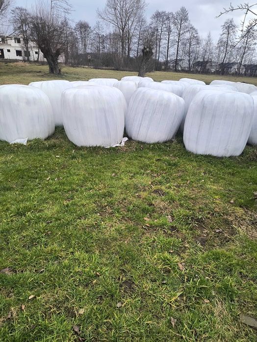 Sprzedam siano i sianokiszonkę