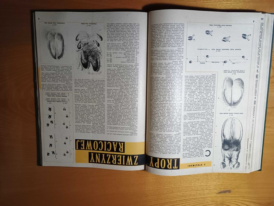 Łowiec Polski roczniki 1956-57 oprawa