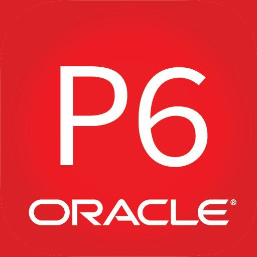 Formação profissional (Primavera P6) gestão de projetos