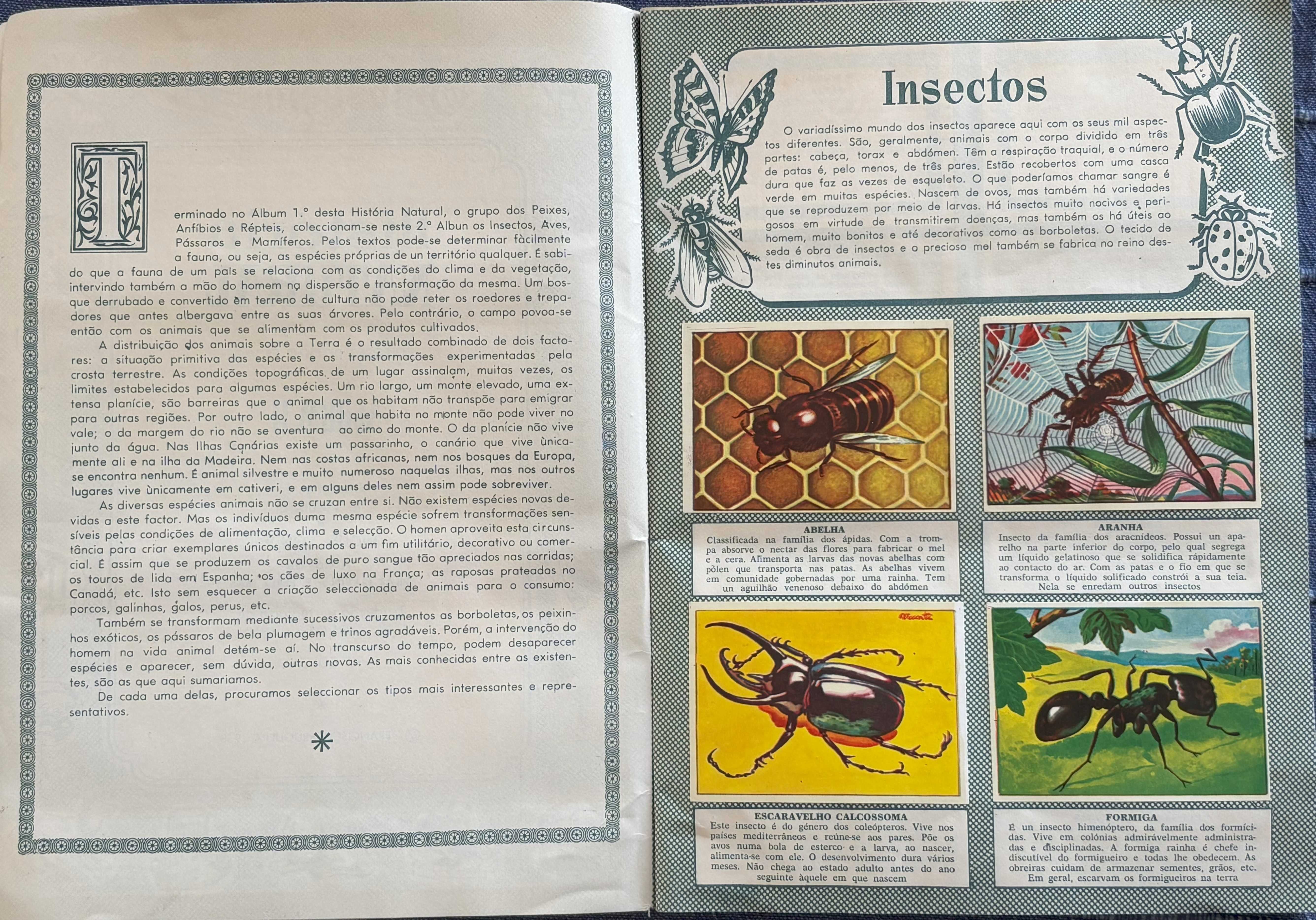 Caderneta Cromos - História Natural