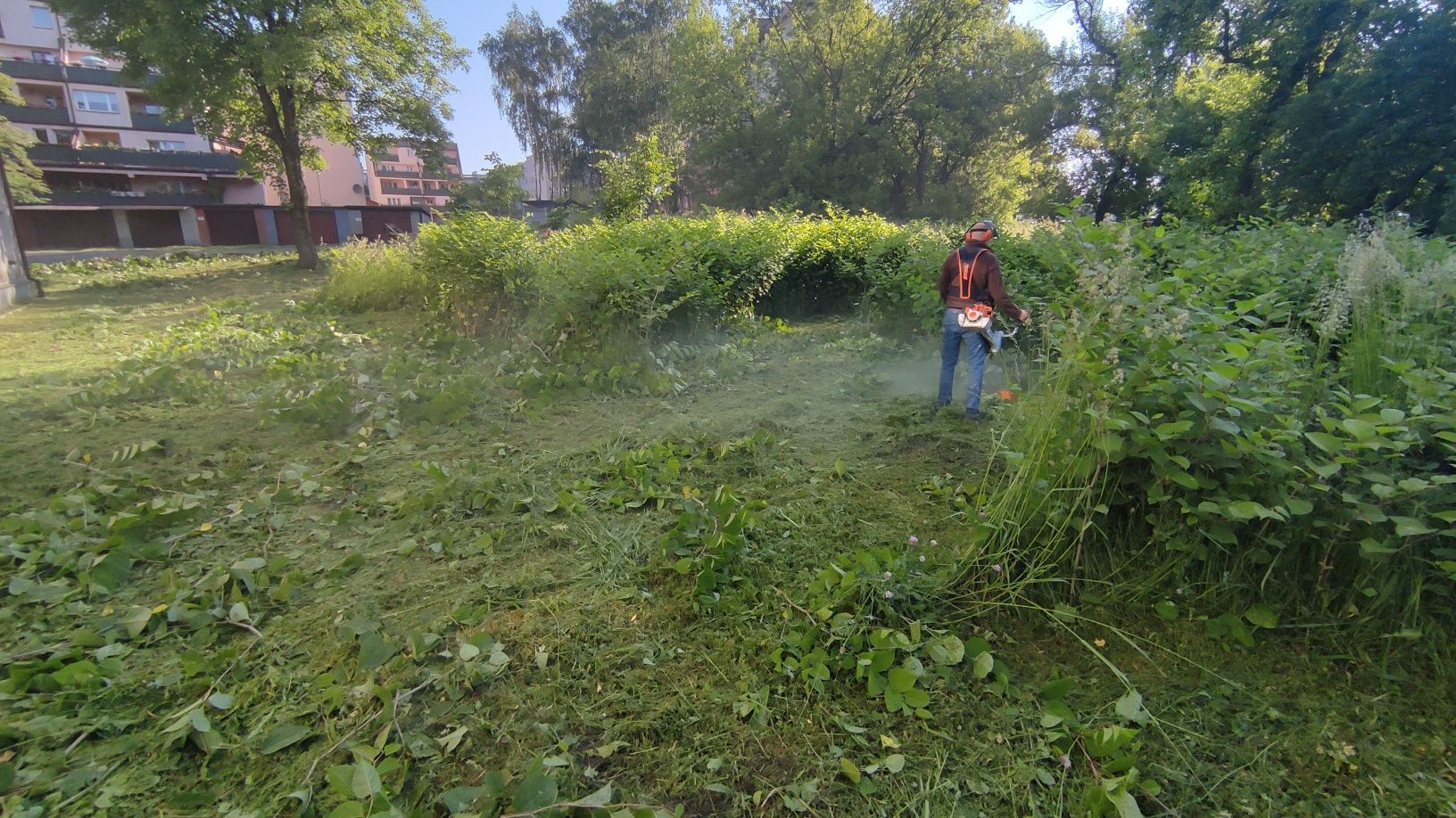 Koszenie trawy, przycinanie żywopłotów