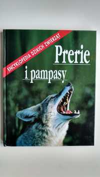 Prerie i pampasy Encyklopedia dzikich zwierząt