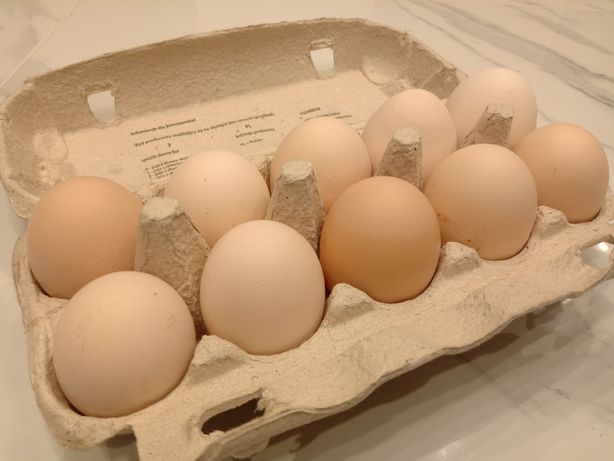 Swojskie jaja wiejskie Jajka duże 10szt + GRATIS