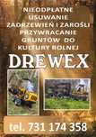 Nieodpłatne usuwanie zadrzewień i zarośli.