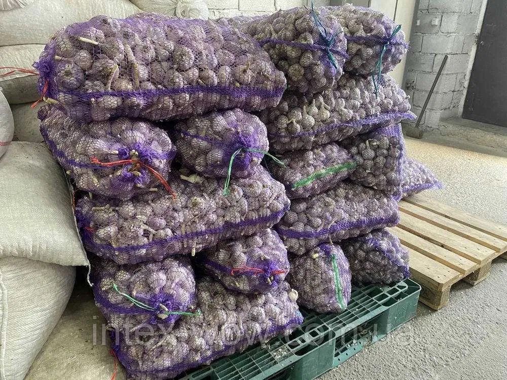 Продам товарний часник 5/10/20 тон/чеснок/експорт/