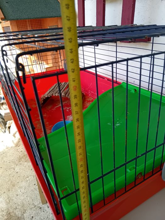 Gaiola para roedores grandes