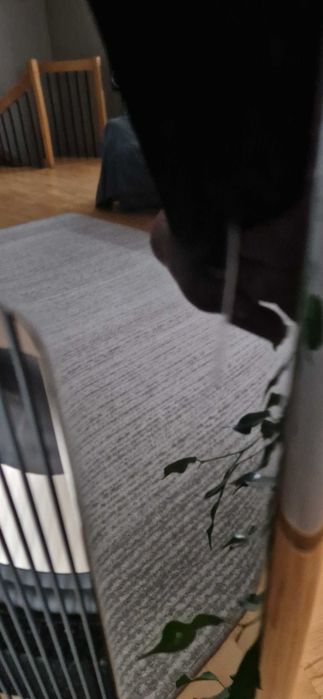 Kolumny Quadral Titan VIII