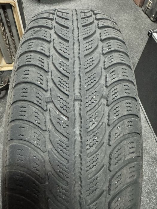 Debica  frigo2 185 65 15 Зима