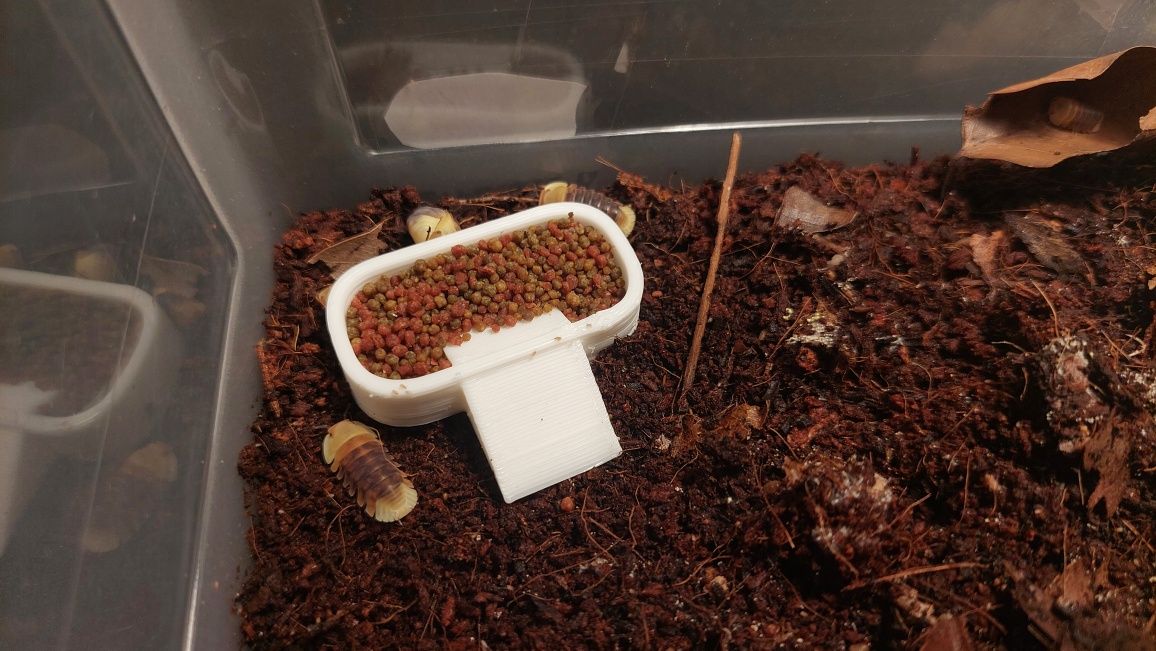 Taça alimentação isopods/bichos da conta