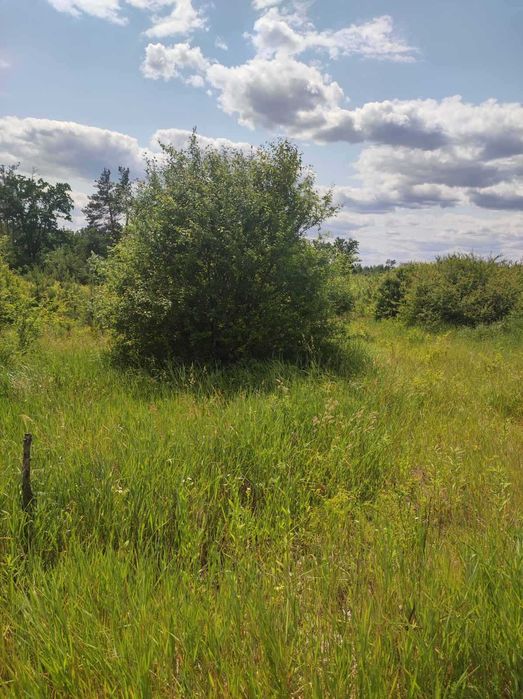 Продам участок в Юровке 30 сотки со старіим домомо двухсторонний