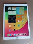 iPad Pro 12.9'' (2a geração) - Rosegold