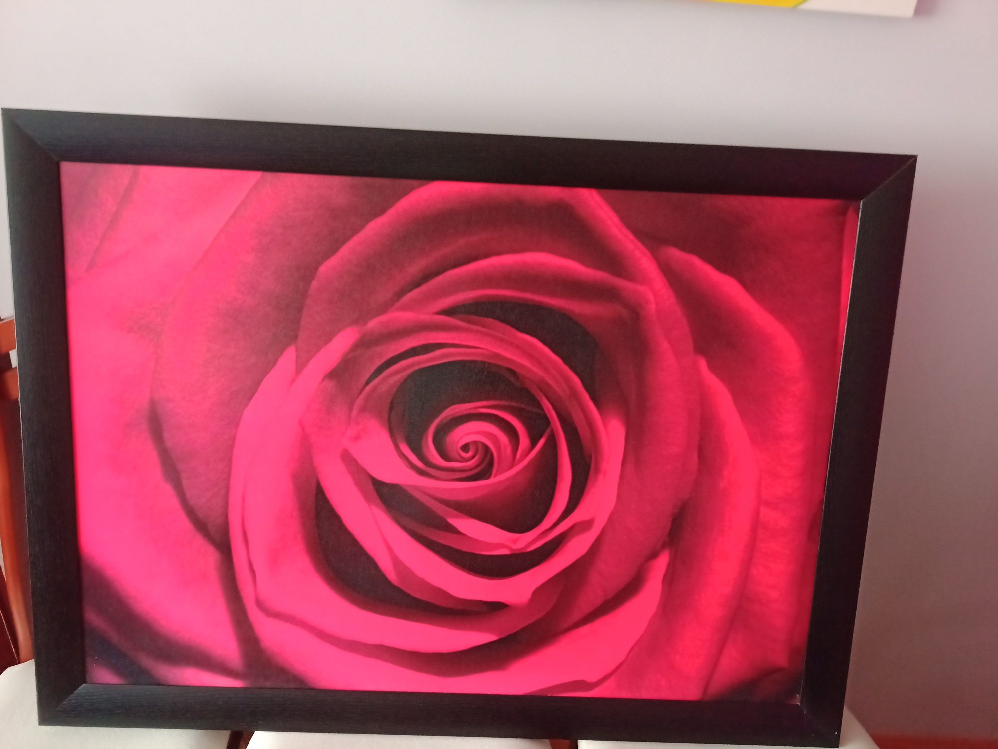 Obraz róża 70x100 cm duży