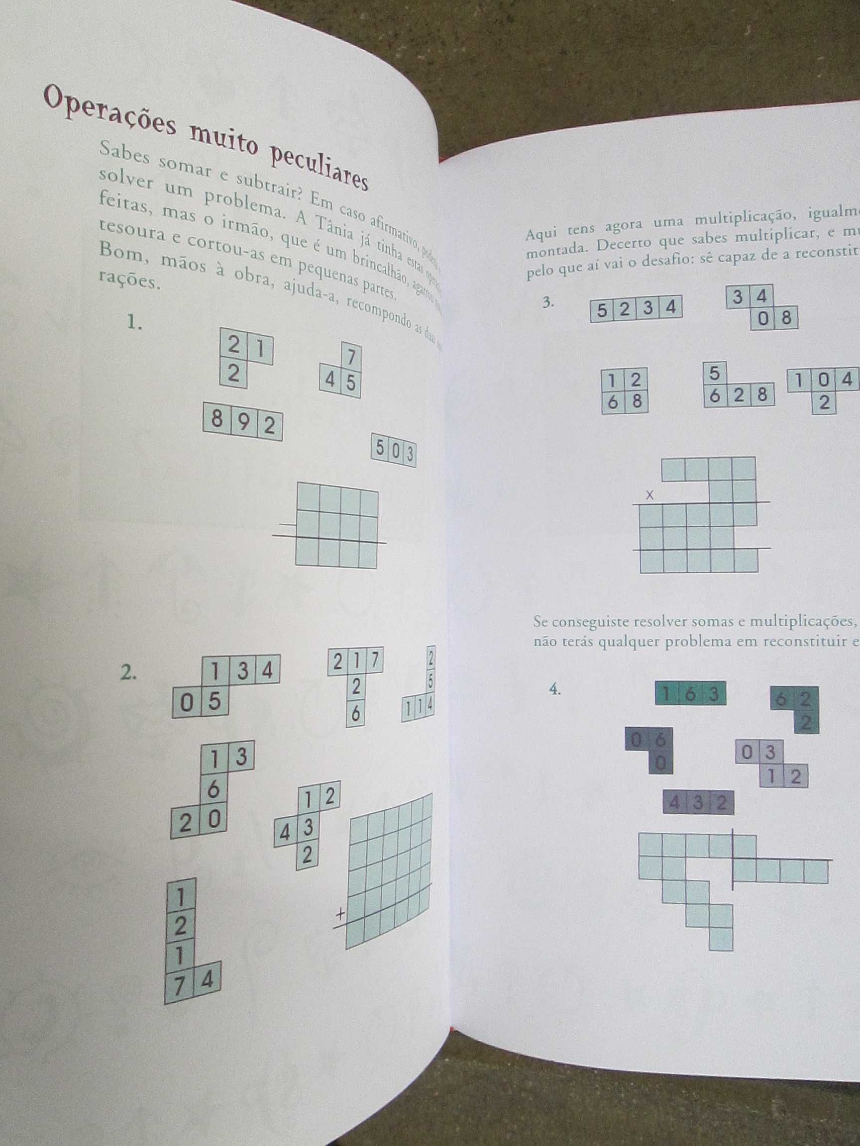 Brinca e Surpreende-te com a Matemática, de Lluís Segarra