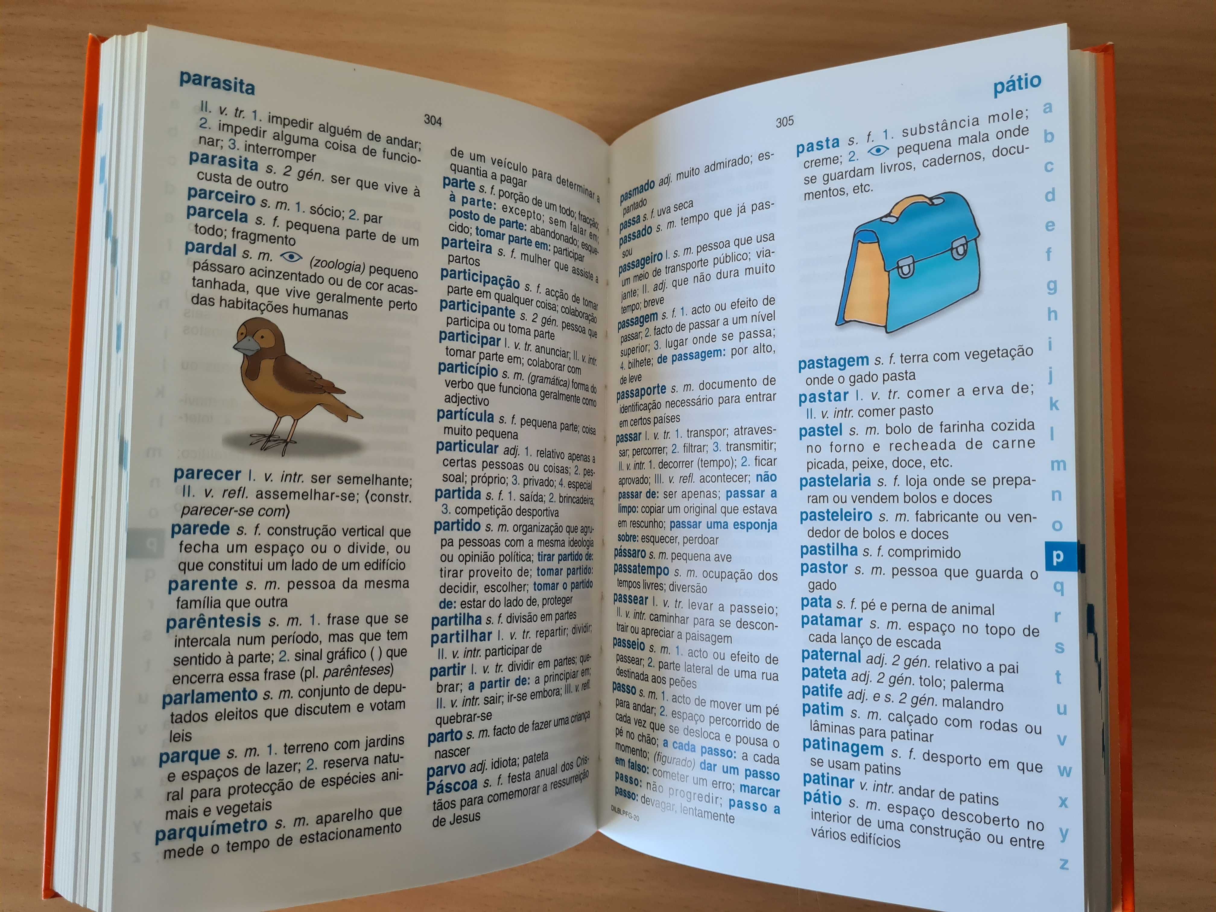 Dicionário Básico Ilustrado