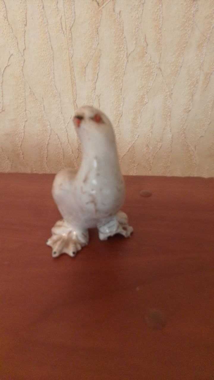 Голубь СССР продам