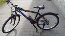 Rower Alpina Eco M10 26"  235/23 OKRZ