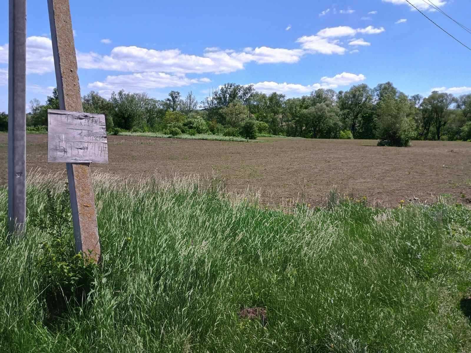 0.331 га землі у с. Великий Кучурів (р-н Дубки за парниками)