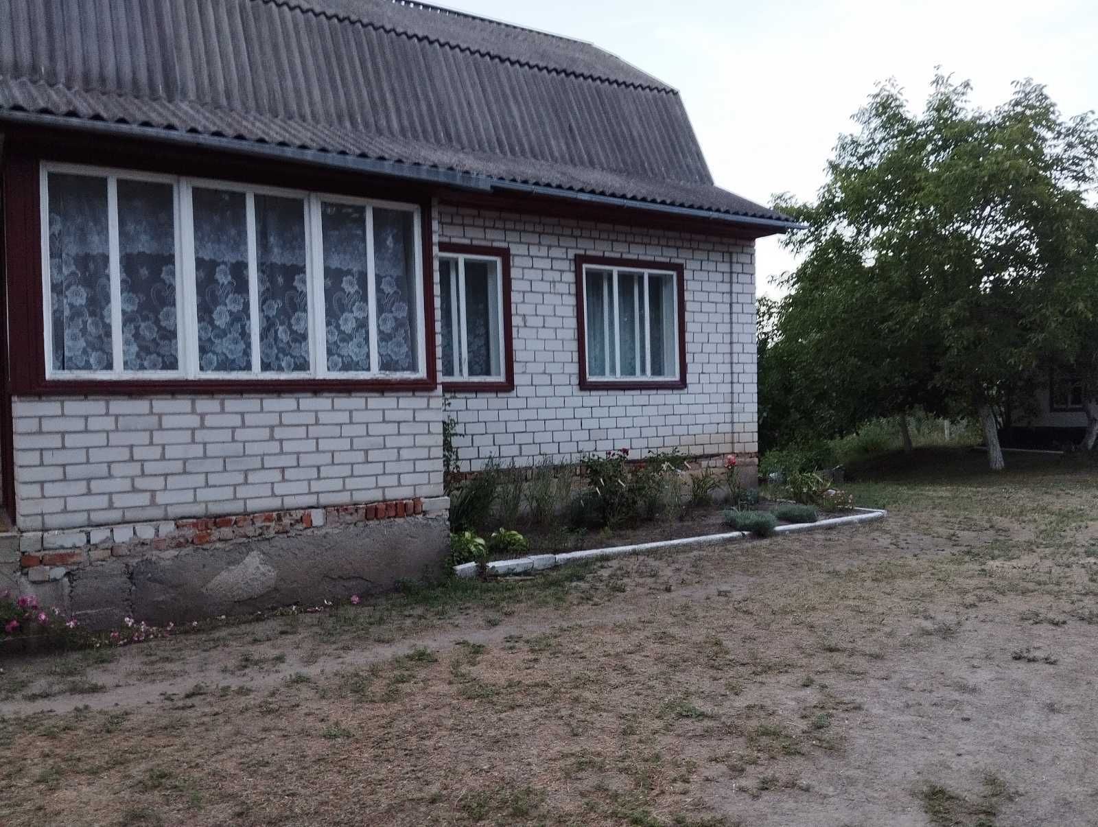 Будинок під лісом під Черкасами, с. Білозір'я № 284