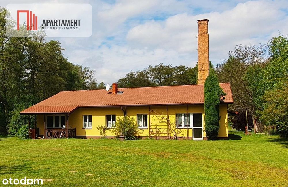 Dom z potencjałem na dużej działce!
