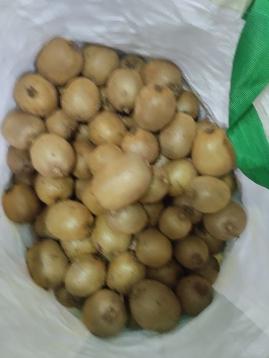 Kiwis  para venda