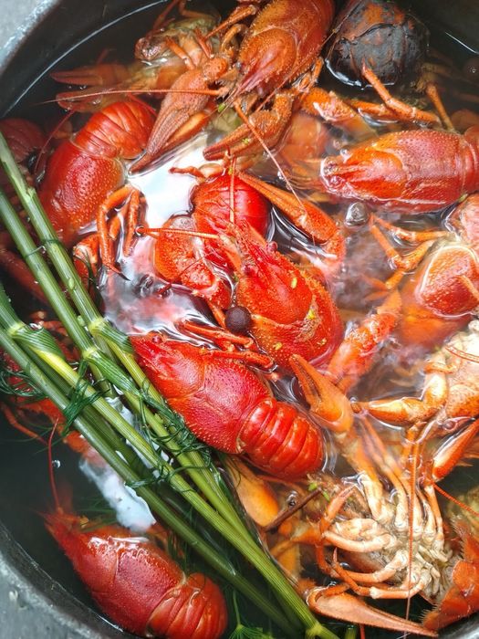 Раки живі, варені